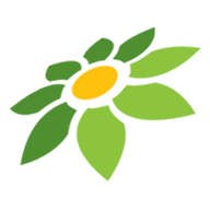 DAFTAR API303